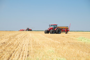 Similar image 11891259