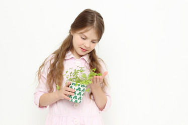 Similar image 11923023