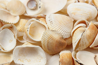 Similar image 11923182