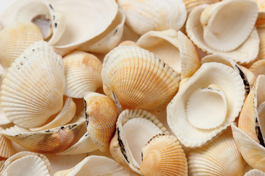 Similar image 11923183