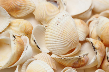 Similar image 11923184