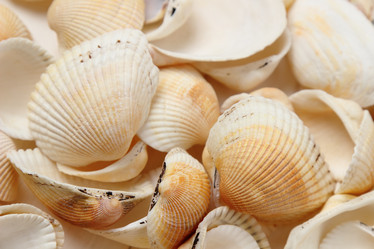 Similar image 11923203