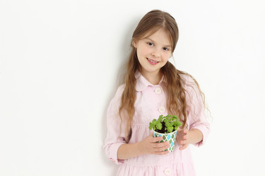 Similar image 11923252