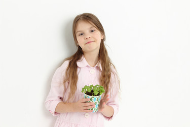 Similar image 11923253