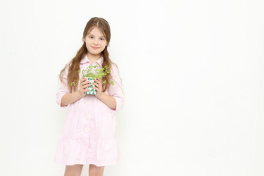 Similar image 11923273