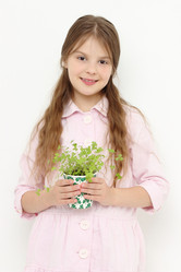 Similar image 11923290