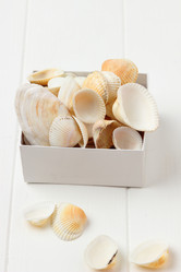 Similar image 11923049