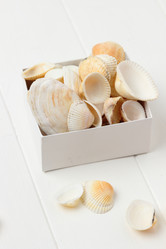 Similar image 11923050