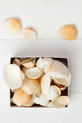 Similar image 11923070