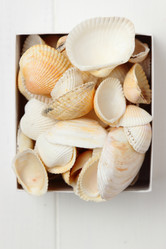 Similar image 11923072