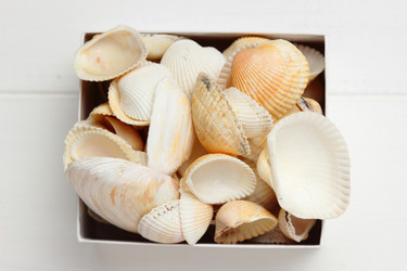 Similar image 11923074