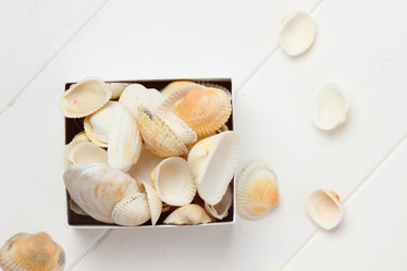 Similar image 11923075