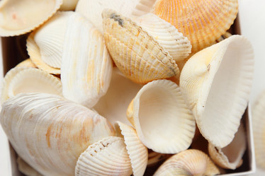 Similar image 11923087