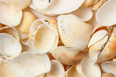 Similar image 11923088