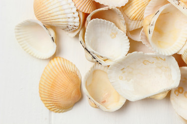 Similar image 11923089