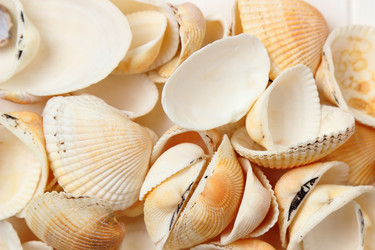 Similar image 11923090