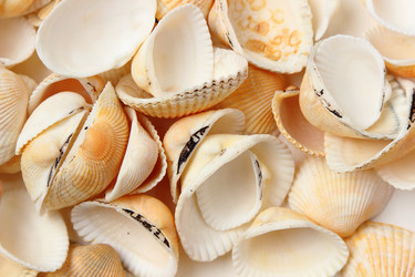 Similar image 11923091