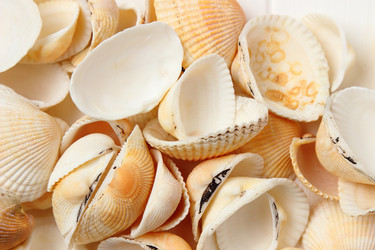 Similar image 11923092