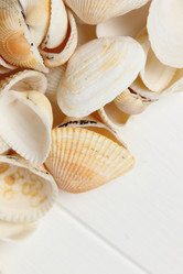 Similar image 11923130