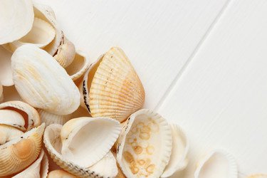 Similar image 11923131