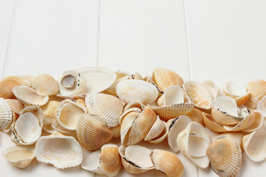 Similar image 11923150