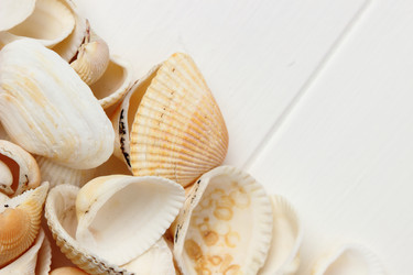 Similar image 11923151