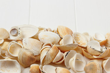 Similar image 11923152