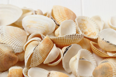 Similar image 11923238