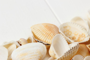 Similar image 11923239