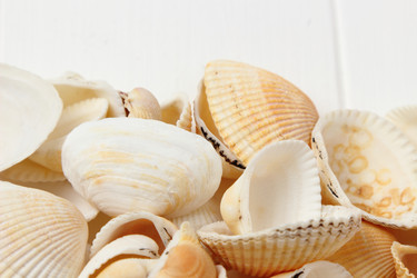 Similar image 11923240