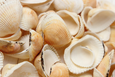 Similar image 11923256