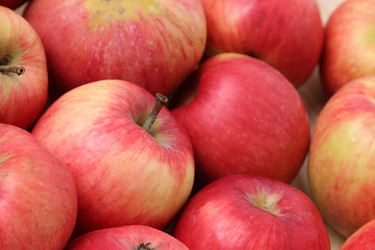 Similar image 11923097