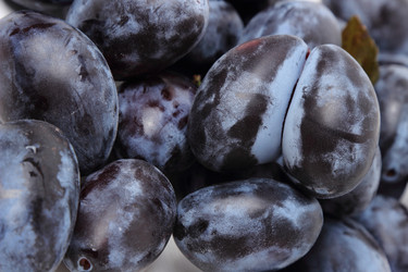 Similar image 11923317