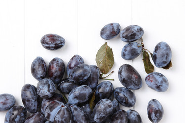 Similar image 11923356