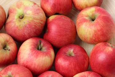 Similar image 11923398