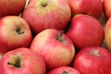 Similar image 11923417