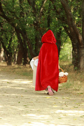 Similar image 11923059