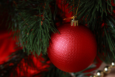 Similar image 11923041