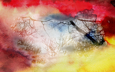 Similar image 11917948