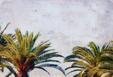 Similar image 11912509