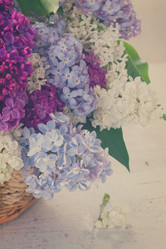 Similar image 11912826