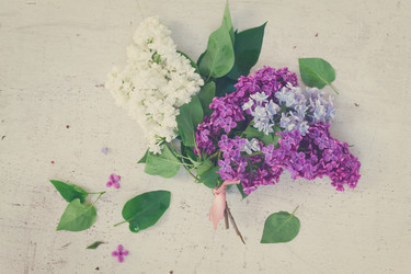 Similar image 11912976