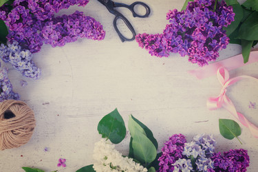 Similar image 11912996