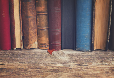 Similar image 11913424