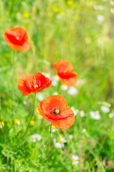 Similar image 11913425