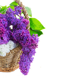 Similar image 11913925