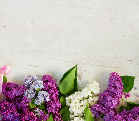 Similar image 11911796