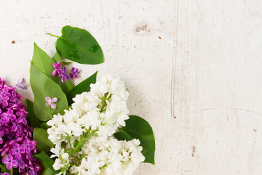 Similar image 11911798