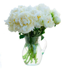 Similar image 11911799