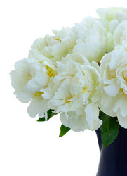 Similar image 11911818